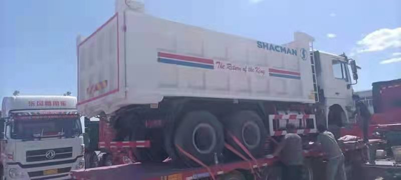 Excellent état 40T Capacité de chargement 10 roues 6x4 SAHCAMN TRUPER TRUPING